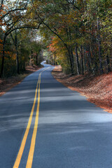 Arkansas Curving Narrow Backroad