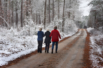 Children Take Elderly Mother on Snowy Walk