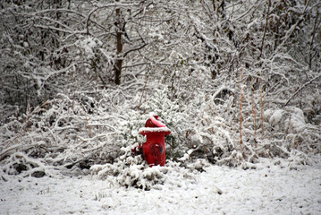Country Fire Hydrant is Almost Covered in Snow