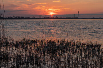 Evening landscape by the water, sunset, reeds