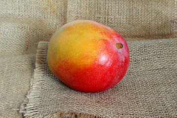  colorful ripe fresh kent mango isolated on jute fabric background 