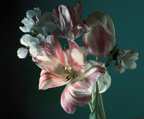 abstract flower arrangement, spring tulips and apple blossom on a dark background.