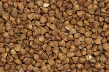 Buckwheat for the whole frame. Macro. Background.