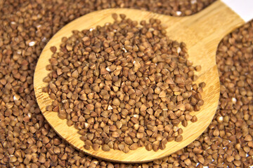 Buckwheat in a wooden spatula. Close up. Background.