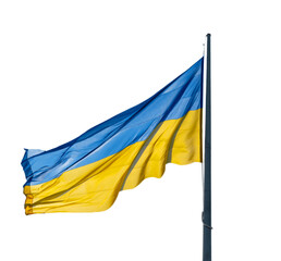 Flag of Ukraine flutters in white isolated