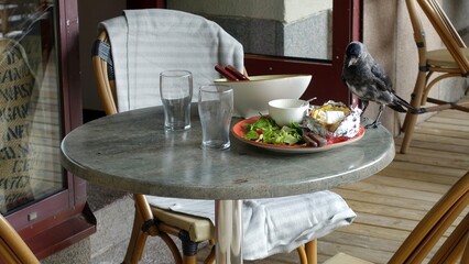 A crow landed on a restaurant table to peck at the remains left by a customer.