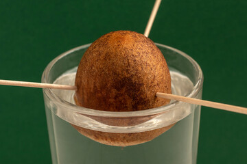 Growing avocado from the stone. The avocado pit on toothpicks in a glass of water. Close up.