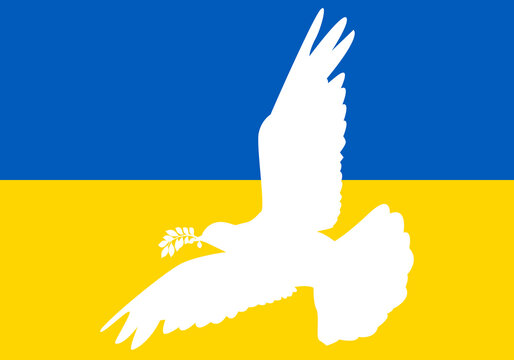 Paz en Ucrania. Paloma blanca de la paz con una rama de laurel sobre la bandera de Ucrania 