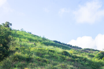 Top view from doi smer dao national park nan thailand.