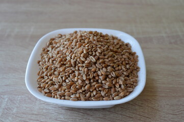 grains of wheat in a white bowl on a wooden kitchen table