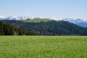 Hochberg plain near Pfaender, snowy mountains in the background. Vorarlberg, Austria.