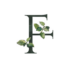 Dark green decorative floral alphabet. Letter F with melissa twigs arrangement. Watercolor collection for anniversaries, weddings and other celebratory events; for invitations and greeting cards.