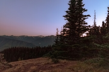 forest clearing overlooking winding ridge with purple sky