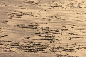 glowing silver water with ripples and reflecting light