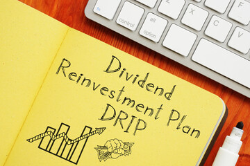 Dividend Rollover Plan is shown on the photo using the text
