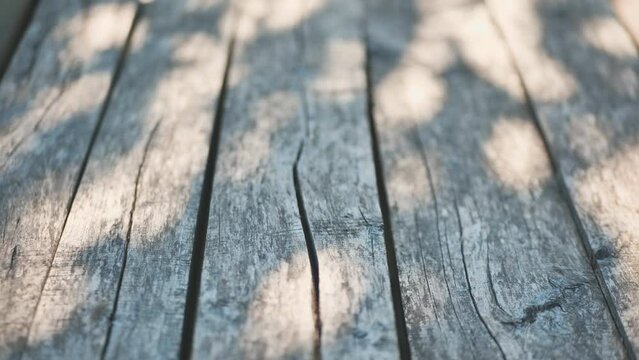 An old wooden table in a summer garden with rays of sunshine.
