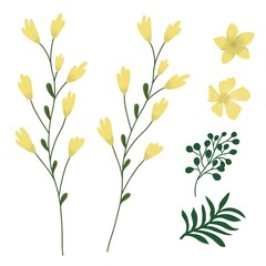 Yellow flowers and branches green. Set vector