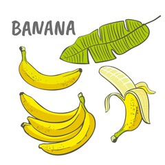 Illustration of a banana. Exotic tropical fruits on a white background. Vegetarian healthy food with vitamins.