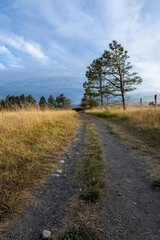Fototapeta na wymiar rural dirt road with grassy hills and clouds