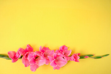 Purple flower on yellow background. Spring concept. Copy space. Flat lay