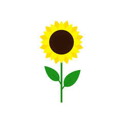 Sunflower icon. Vector illustration. Flat design.