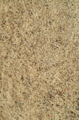 Winter dry yellow grass field
