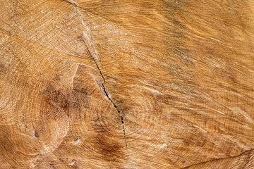 Fototapeta premium brązowe drewno tło do projektu