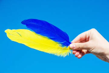 Flag of Ukraine in hands. Colored feathers. Symbol of freedom and independence. Ukrainian flag