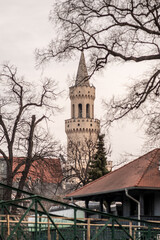 wieża ratusza w Opolu (Polska)