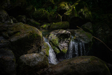 Naklejka na ściany i meble old stone in rain forest river