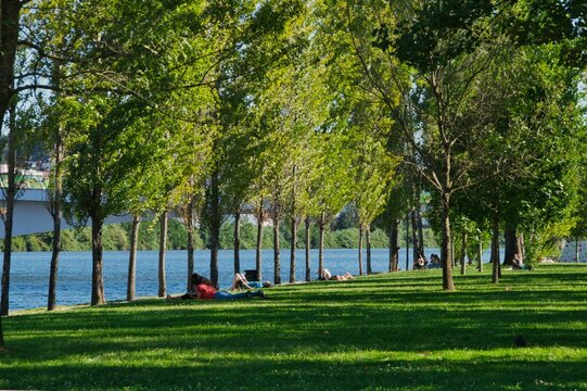 Gente relajada en el parque, Coimbra