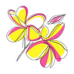 Plumeria flowers in the style of drawing a continuous line. Vector illustration