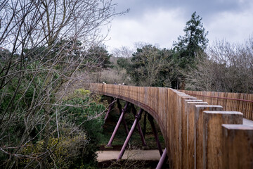 Fototapeta na wymiar Wooden footbridge in the forest, selective focus.