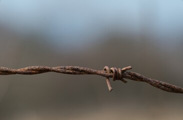 Barbed wire across the road, war zone Ukraine in the background