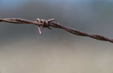 Barbed wire across the road, war zone Ukraine in the background