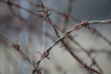 Barbed wire across the road, war zone Ukraine in the background