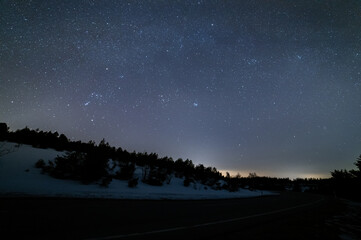 Sterne im Schwarzwald