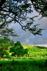 PAISAGEM EM ZONA RURAL DE BELÉM, PARAÍBA, BRASIL.