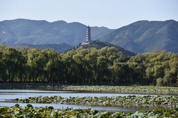 Beautiful Traditional Chinese Lake in Beijing, Summer Palace