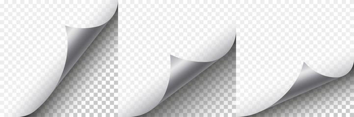 Paper curl set. Element for advertising and promotion. Vector illustration