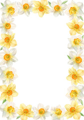 Frame with spring flowers, daffodils, watercolor illustration