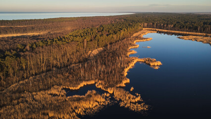 Drone view of the Ptasi Raj reserve in Gdańsk, Sobieszewo, Poland.