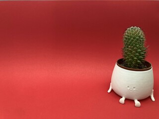 Cactus in smiling plant pot - Red background - Right