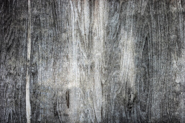 old wooden board wall with nice texture