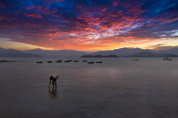 Sunset over Tolo Harbour with a woman looking for shells, Ma On Shan, Hong Kong.