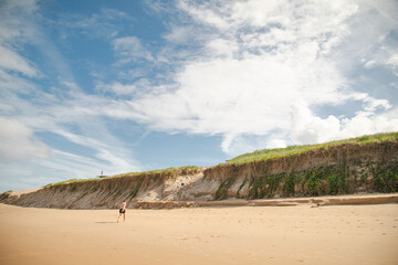 Kids playing at the beach on a beautiful summer day, Coffs Harbour Australia