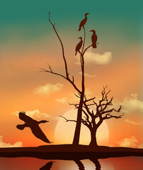 Cormorants are seen roosting in a bare tree at sunset as another cormorant flies by looking for a roosting spot. This is a 3-d illustration.