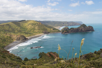 Fototapeta premium Aerial view of Kauwahaia Island, West Coast Beach near Auckland, New Zealand.