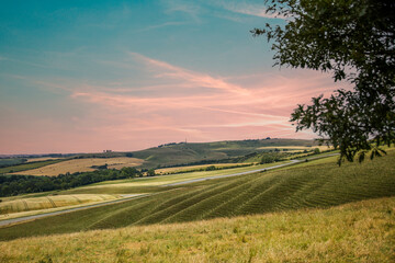 View across the Marlborough Downs at Cherhill.