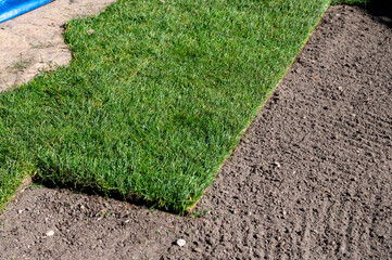 Making of natural green lawn in garden with rolls of green grass, garden works in spring